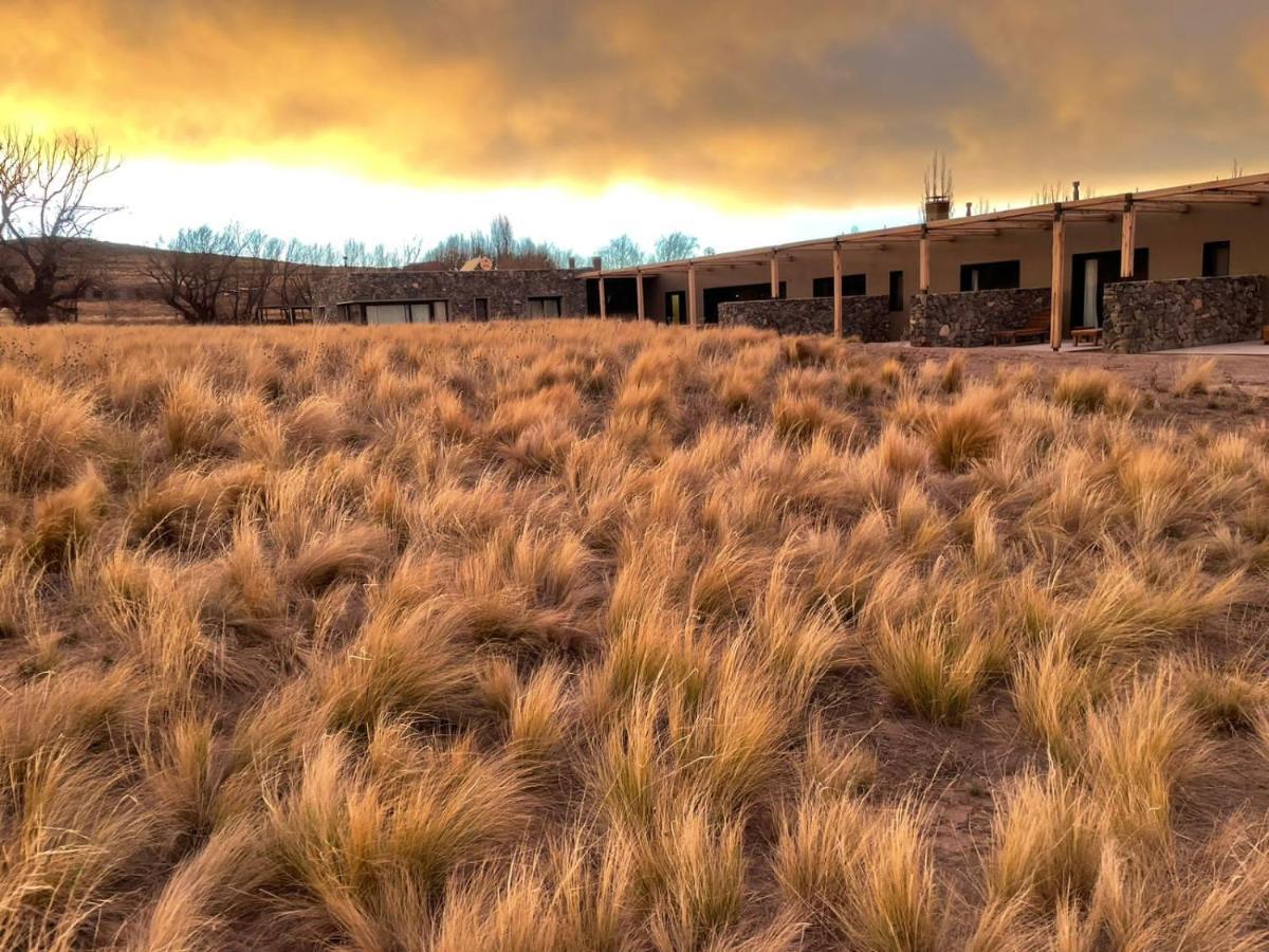 Rancho Adobe Eco Hotel Tupungato Zewnętrze zdjęcie