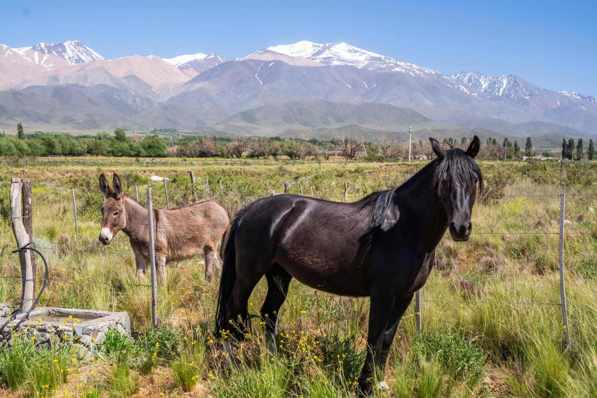 Rancho Adobe Eco Hotel Tupungato Zewnętrze zdjęcie